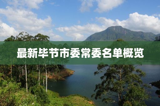 最新毕节市委常委名单概览