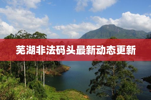 芜湖非法码头最新动态更新