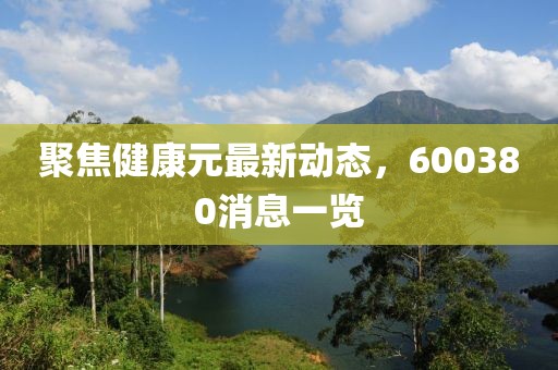 聚焦健康元最新动态，600380消息一览