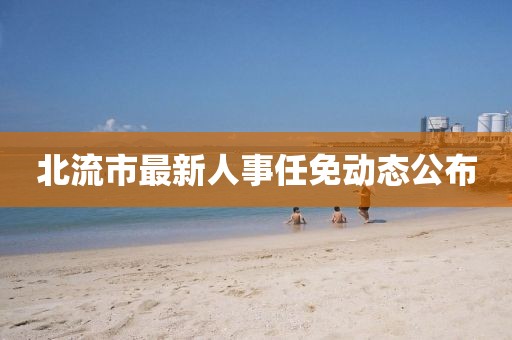 北流市最新人事任免动态公布
