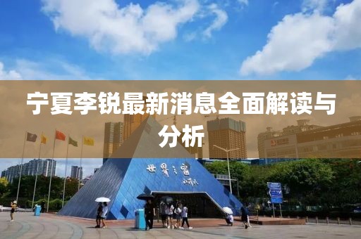 宁夏李锐最新消息全面解读与分析