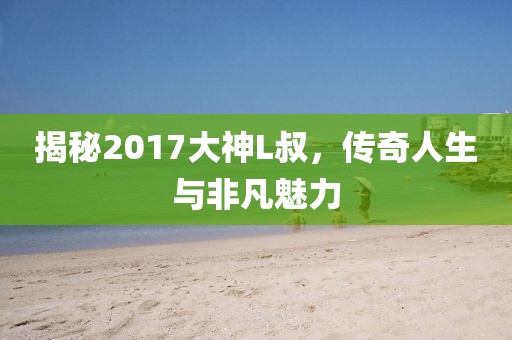 揭秘2017大神L叔，传奇人生与非凡魅力
