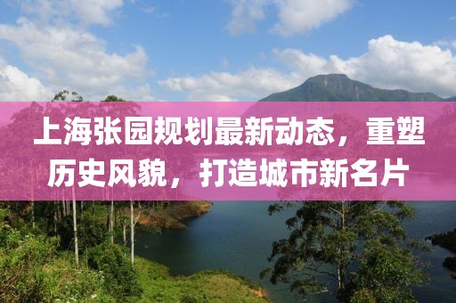 上海张园规划最新动态，重塑历史风貌，打造城市新名片