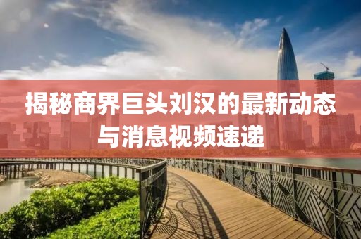 揭秘商界巨头刘汉的最新动态与消息视频速递