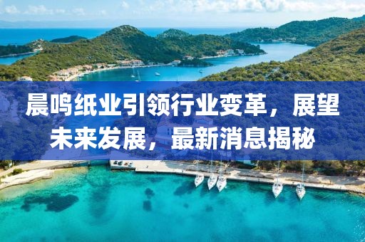 晨鸣纸业引领行业变革，展望未来发展，最新消息揭秘