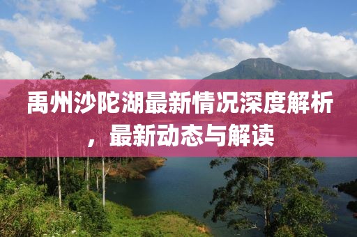 禹州沙陀湖最新情况深度解析，最新动态与解读
