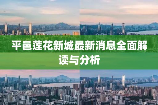 平邑莲花新城最新消息全面解读与分析