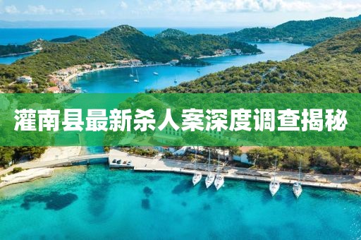 灌南县最新杀人案深度调查揭秘