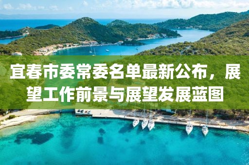 宜春市委常委名单最新公布，展望工作前景与展望发展蓝图