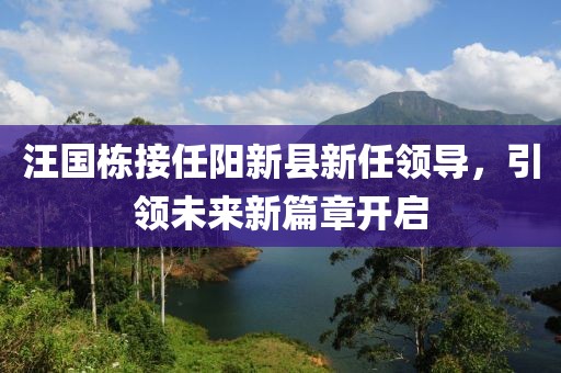 汪国栋接任阳新县新任领导，引领未来新篇章开启