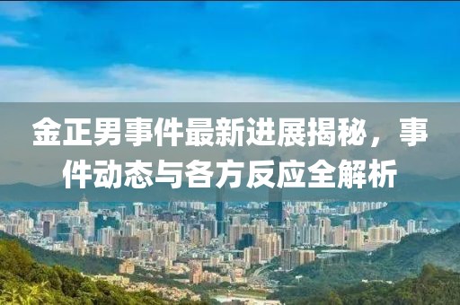 金正男事件最新进展揭秘，事件动态与各方反应全解析