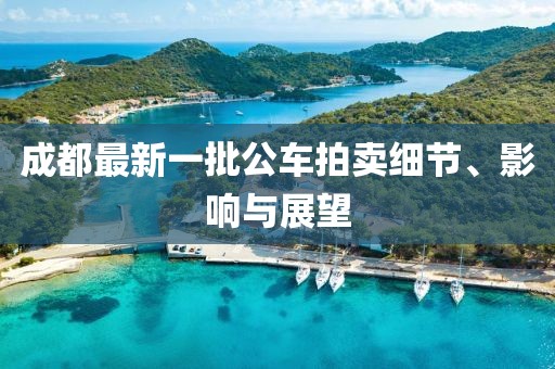 成都最新一批公车拍卖细节、影响与展望