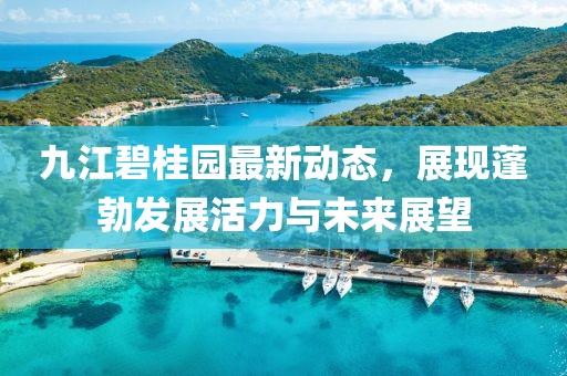 九江碧桂园最新动态，展现蓬勃发展活力与未来展望
