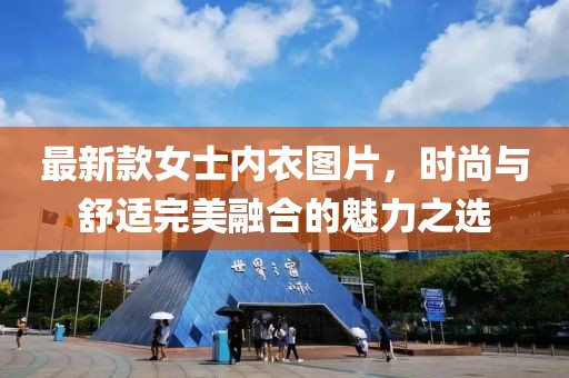 最新款女士内衣图片，时尚与舒适完美融合的魅力之选