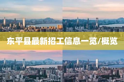 东平县最新招工信息一览/概览