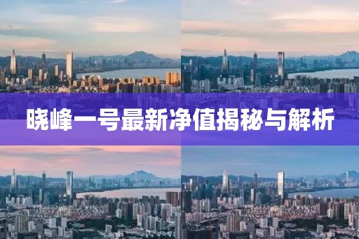 晓峰一号最新净值揭秘与解析