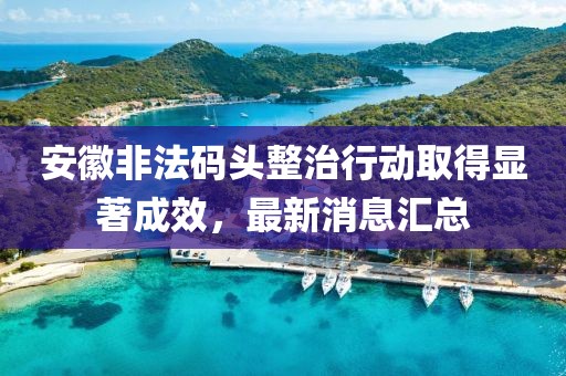 安徽非法码头整治行动取得显著成效，最新消息汇总