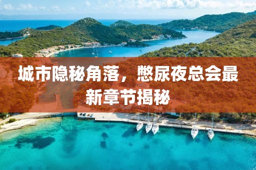 城市隐秘角落，憋尿夜总会最新章节揭秘