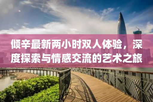 倾辛最新两小时双人体验，深度探索与情感交流的艺术之旅