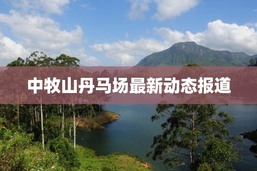 踏落花 第12页