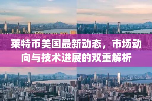 莱特币美国最新动态，市场动向与技术进展的双重解析