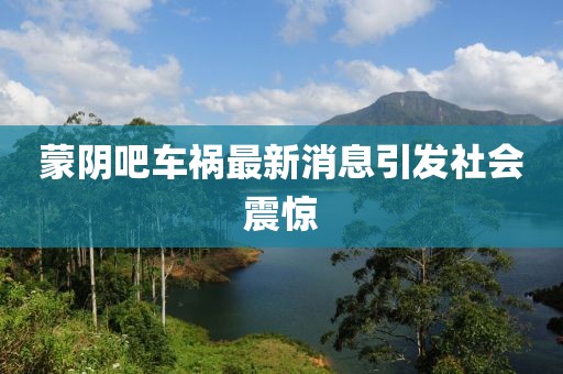 蒙阴吧车祸最新消息引发社会震惊