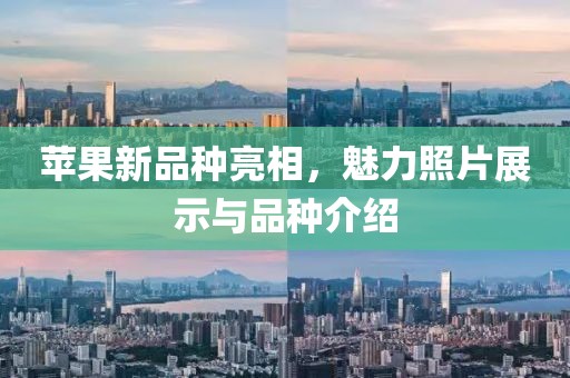 苹果新品种亮相，魅力照片展示与品种介绍
