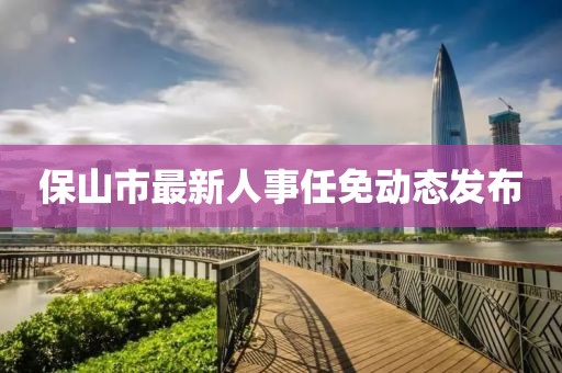 保山市最新人事任免动态发布
