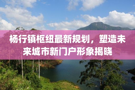 杨行镇枢纽最新规划，塑造未来城市新门户形象揭晓