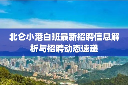 北仑小港白班最新招聘信息解析与招聘动态速递
