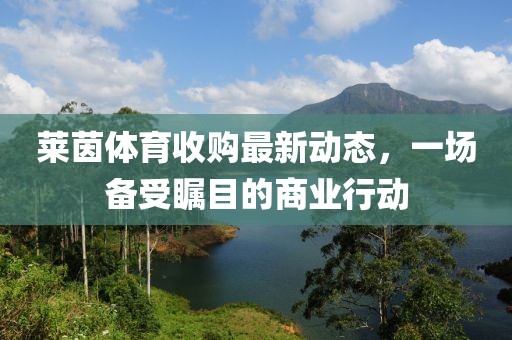 莱茵体育收购最新动态，一场备受瞩目的商业行动