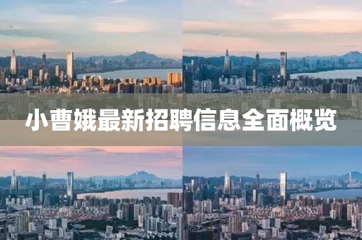 小曹娥最新招聘信息全面概览