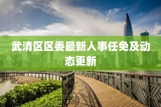 武清区区委最新人事任免及动态更新
