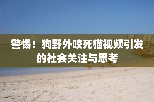 警惕！狗野外咬死猫视频引发的社会关注与思考