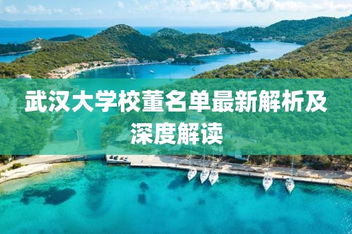 武汉大学校董名单最新解析及深度解读