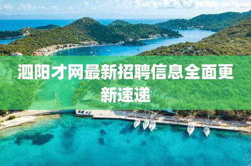 泗阳才网最新招聘信息全面更新速递