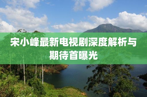 宋小峰最新电视剧深度解析与期待首曝光