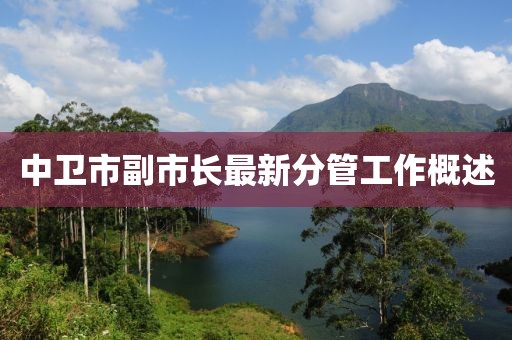 中卫市副市长最新分管工作概述