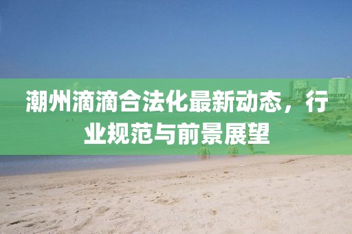 潮州滴滴合法化最新动态，行业规范与前景展望