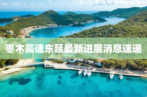 枣木高速东延最新进展消息速递
