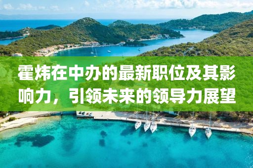 霍炜在中办的最新职位及其影响力，引领未来的领导力展望