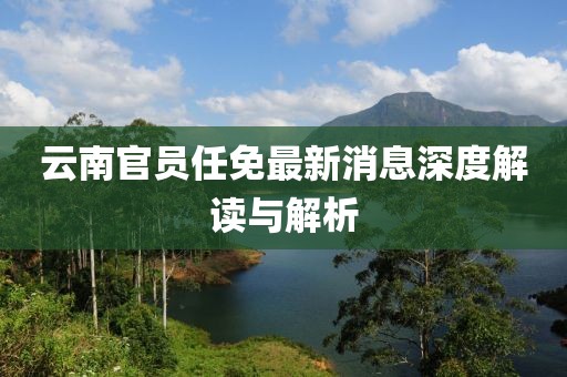 当事人 第11页