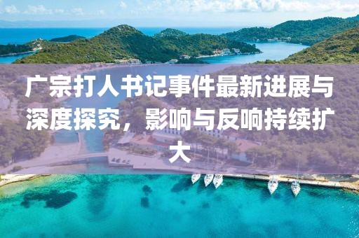 广宗打人书记事件最新进展与深度探究，影响与反响持续扩大