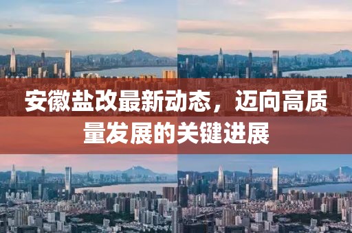 安徽盐改最新动态，迈向高质量发展的关键进展