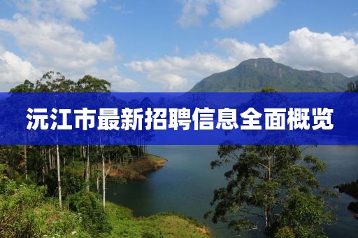 沅江市最新招聘信息全面概览