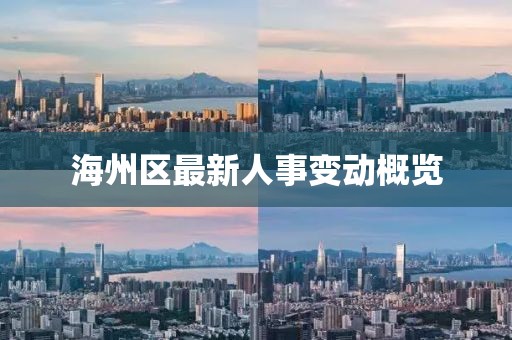 海州区最新人事变动概览