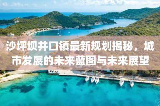 沙坪坝井口镇最新规划揭秘，城市发展的未来蓝图与未来展望
