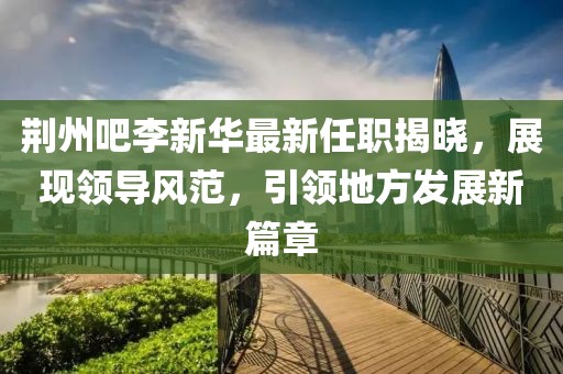 荆州吧李新华最新任职揭晓，展现领导风范，引领地方发展新篇章