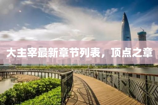 大主宰最新章节列表，顶点之章