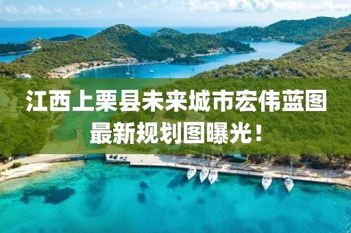 江西上栗县未来城市宏伟蓝图最新规划图曝光！
